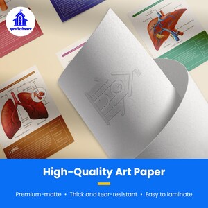 Quarterhouse Human Body Organs and Functions Poster Set, Science Classroom Learning Materials for K-12 Students and Teachers, Set of 7,... image 2
