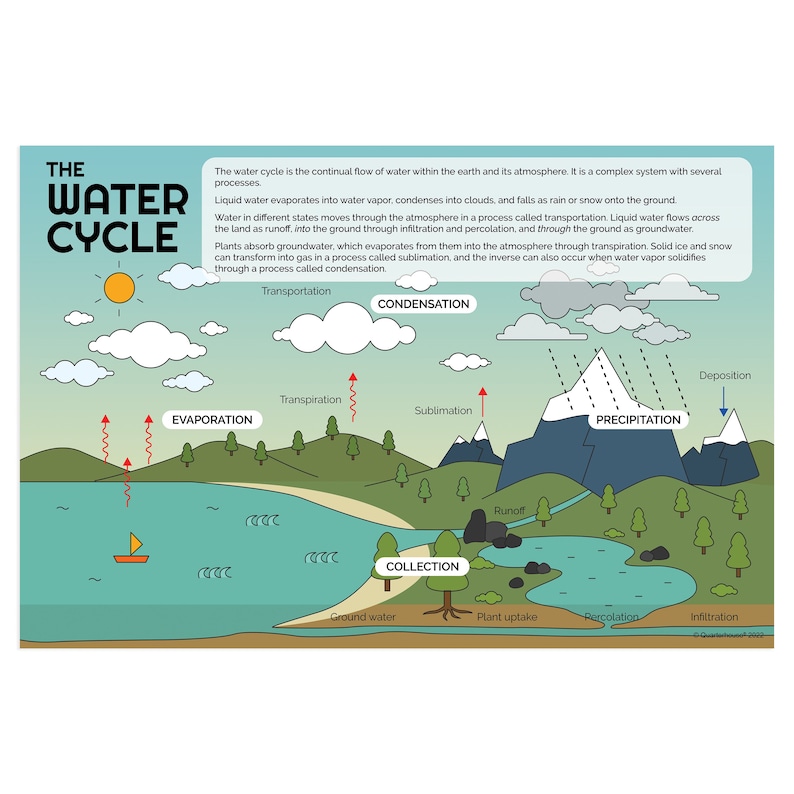 Infiltration Simple Quarterhouse Water Cycle Poster, Science Classroom Materials for ...