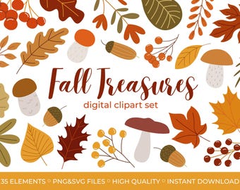 Autumn Clipart Set: Fall Leaves, Mushrooms, Berries (PNG & SVG)
