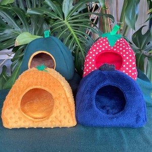 FANCY FRUITS: Guinea Pig Hide House