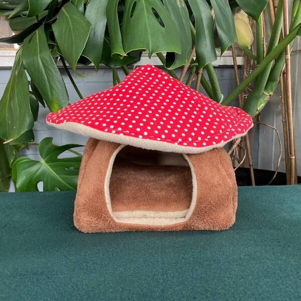 MAGICAL TOADSTOOL: Guinea Pig/Rabbit Hide House