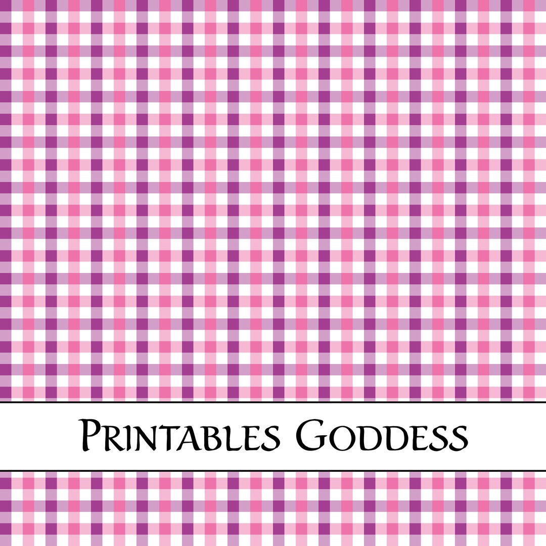 a-ya 様 ♡Check ＆ STRIPE Light Pink Gingham A - Line Dress - Lil Cactus
