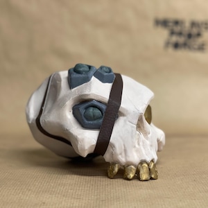 Sea of thieves Inspired Captain Bounty Skull DIY kit