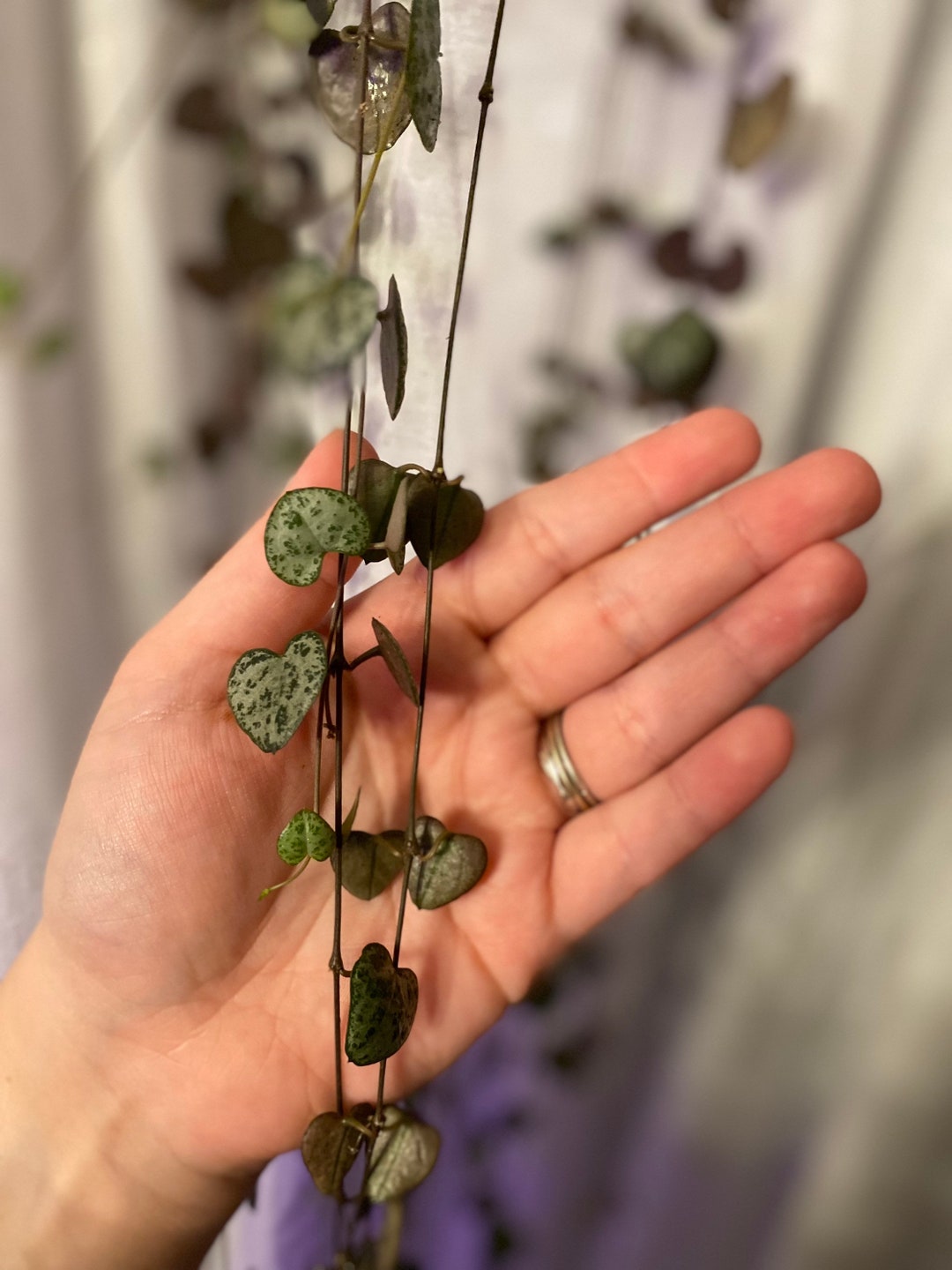 String of Hearts Etsy