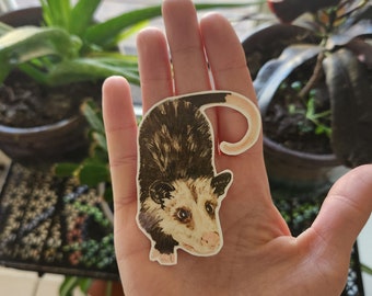 Cute Opossum Sticker, Waterproof Opossum Indoor/Outdoor Sticker