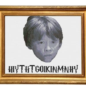 May include: A framed cross-stitch featuring a black and white image of a young boy with the text "WHY TF GOIKIN MNHY".
