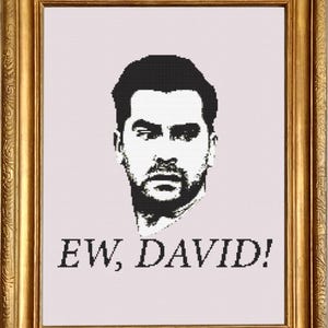 May include: Black and white cross-stitch pattern featuring a man's face with the text "EW, DAVID!" below.