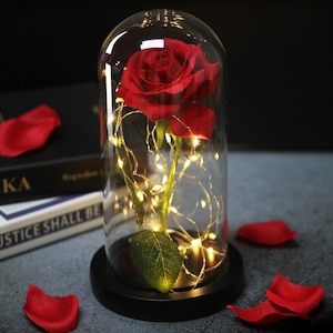 Beauty and the Beast Eternal Rose, Preserved rose, Artificial Flower, Mothers day gift, birthday gift for woman, disney home decor, Mom gift