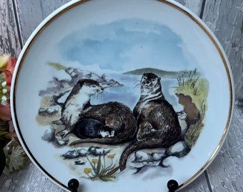 Wildlife Of Britain Collectable 6" Plate 'Otters' By Susan Beresford