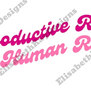 Reproductive Rights Are Human Rights | SVG | PNG | Roe | Choice | Feminist | Women&#39;s Rights | Digital File | Digital Paper | Sticker File