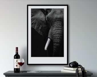May include: Black and white photograph of an elephant's face and trunk. The elephant's eye is visible, and the trunk is curled up. The image is framed in a black frame.