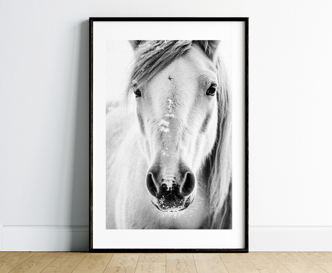 Horse Photo Wall Art Printable, Wildlife Digital Download, Horse