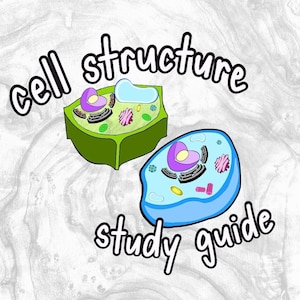 High school/middle school biology CELL STRUCTURE study notes | 2 pages | Digital File only | original illustrations