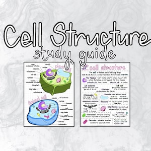 Op de afbeelding: Een studiehandleiding getiteld "Cell Structure" met diagrammen van dierlijke en plantaardige cellen. De gids bevat gelabelde diagrammen van celcomponenten, zoals de kern, het celmembraan en de mitochondriën.