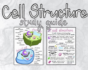 Könnte beinhalten: Ein Lernführer mit dem Titel "Cell Structure" mit Diagrammen von Tier- und Pflanzenzellen. Der Leitfaden enthält beschriftete Diagramme von Zellkomponenten wie Kern, Zellmembran und Mitochondrien.