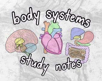 Guia de Estudo Abrangente de Biologia e Sistemas Corporais para o Ensino Médio: Esboço de 7 Páginas com Diagramas (Arquivo Digital)