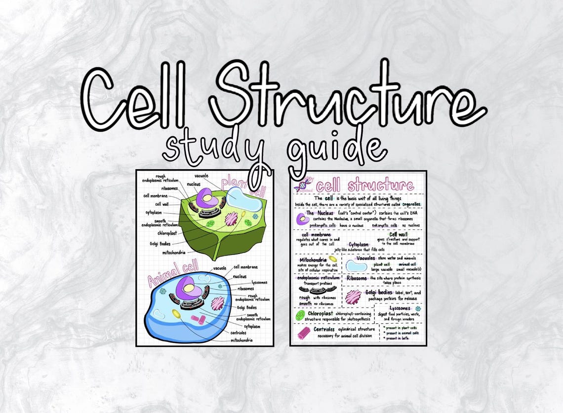 Cell Structure Study Guide: Biology Notes With Hand-drawn Diagrams ...