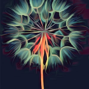 Dandelion