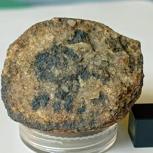 RARE! Achondrite Aubrite meteorite. NW Africa - 53.60 g