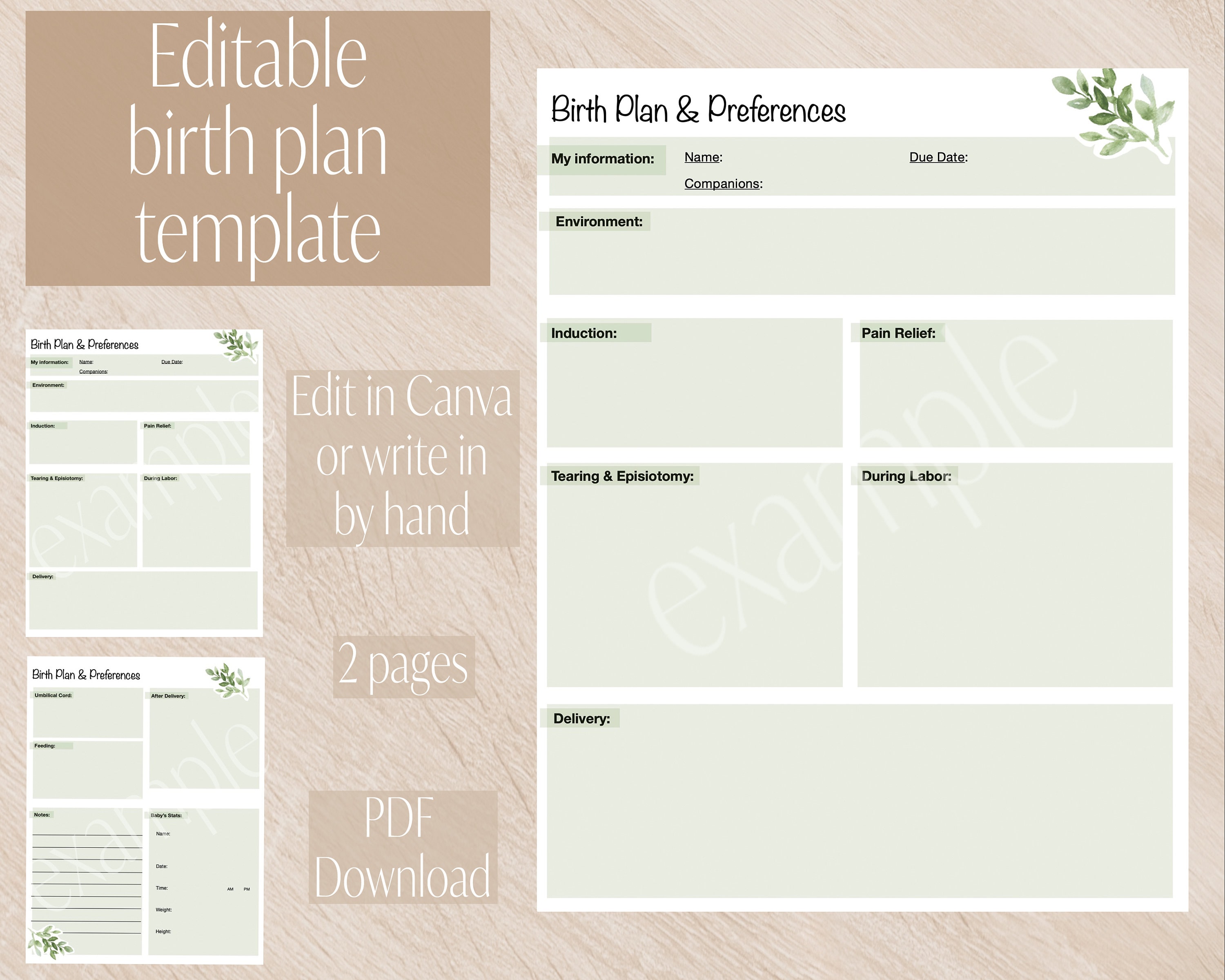 Editable Birth Plan Template, Birth Preferences, Hospital Birth Plan ...