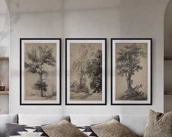 Set di stampe artistiche con alberi rustici incorniciati: schizzo di paesaggio forestale, decorazione da parete per galleria n. 218