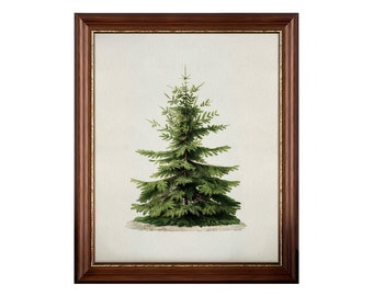Framed Vintage Christmas Print, Pine Tree Vintage Framed Painting, Framed Christmas Wall Art, Christmas Gifts #153