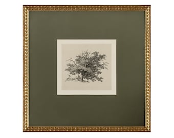 Vintage Art Framed Matted, Tree Wall Art Print, Forest Landscape Drawing, Tree Sketch Art, Square Gold Frame, Transitional Home Decor #3