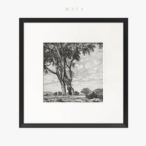 Vintage Art Framed Matted, Black and White Tree Drawing Wall Art Print, Tree Sketch Art, Square Black Frame, Transitional Home Decor #287