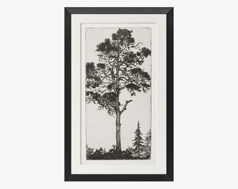 Vintage Art Framed Matted, Etching Tree Print, Framed Trees Wall Art, Tree Drawing Sketch Art, Gold Frame Art, Transitional Home Decor #182