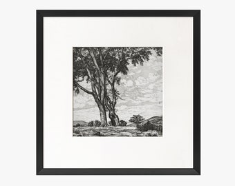 Vintage Art Framed Matted, Black and White Tree Drawing Wall Art Print, Tree Sketch Art, Square Black Frame, Transitional Home Decor #211