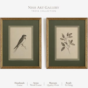 May include: Two framed wall art prints featuring a bird on a branch and a leafy botanical sprig. Each print is set in a dark green mat with a textured gold frame. Text at the top reads NISH ART GALLERY TROYA COLLECTION, with bottom text.