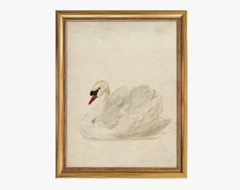 Framed Vintage Print, White Swan Art, Vintage Art Framed, Antique Swan Watercolor Print, Nursery Prints, Vintage Decor,Housewarming Gift #36