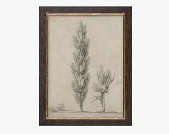 Vintage Art Framed | Beige Tree Drawing Print | Antique Tree Etching Wall Art | Rustic Neutral Sketch Print | Vintage Wall Decor #104