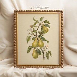 Puede incluir: Una ilustración botánica enmarcada de una rama de peral con cuatro peras verdes, hojas verdes y pequeñas flores blancas. La obra está en un marco dorado con textura de cuentas. El texto REINA NISH ART GALLERY está impreso en la parte superior.