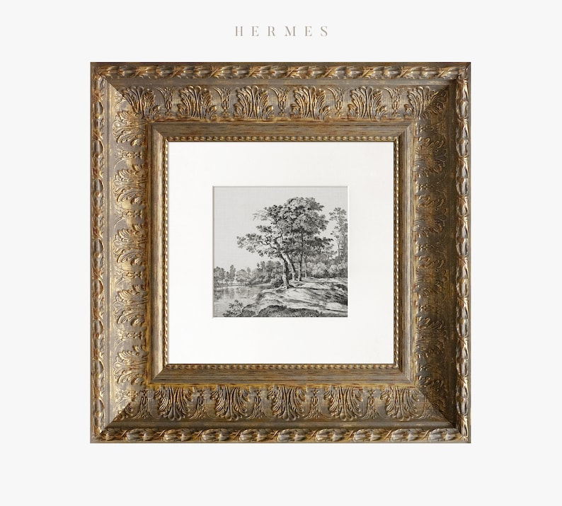 May include: A black and white landscape print of a tree and a river, framed in a gold ornate frame with a white mat.