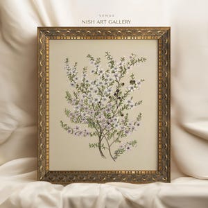 Lámina vintage enmarcada, arte botánico para pared, flores blancas, tapiz de estilo rústico, diseño de transición, decoración de estilo rústico, regalo de inauguración de la casa n.° 111