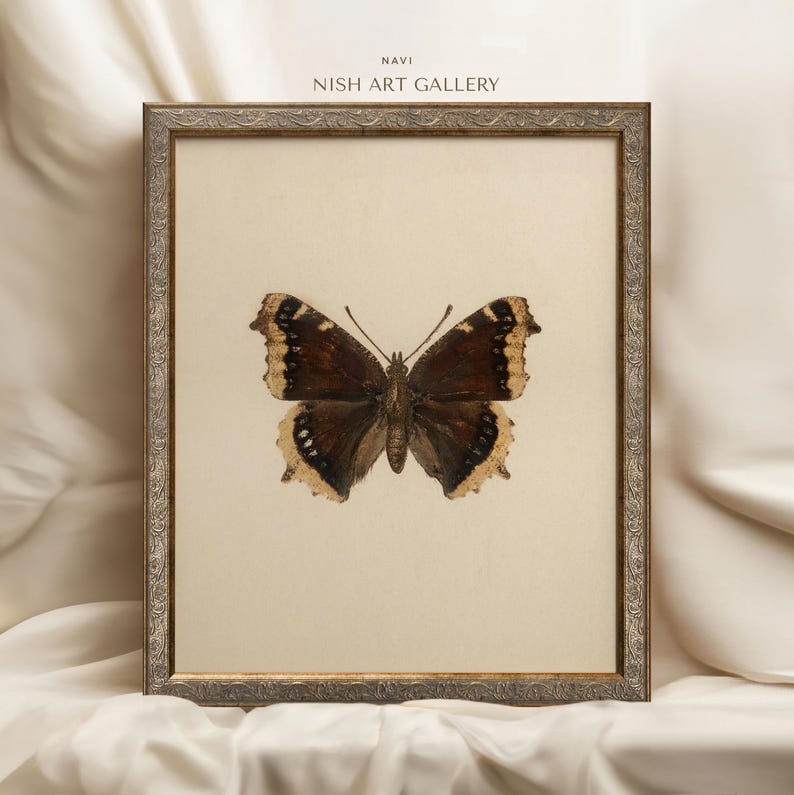 May include: A framed print of a brown and white butterfly with a cream background. The frame is silver with an ornate design. The text "NAVI NISH ART GALLERY" is printed at the top of the image.