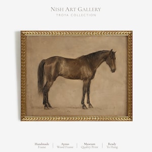 May include: A framed art print featuring a brown horse in profile, set against a neutral beige background. The artwork is enclosed in an ornate, textured gold-colored frame. Text at the top reads NISH ART GALLERY TROYA COLLECTION.