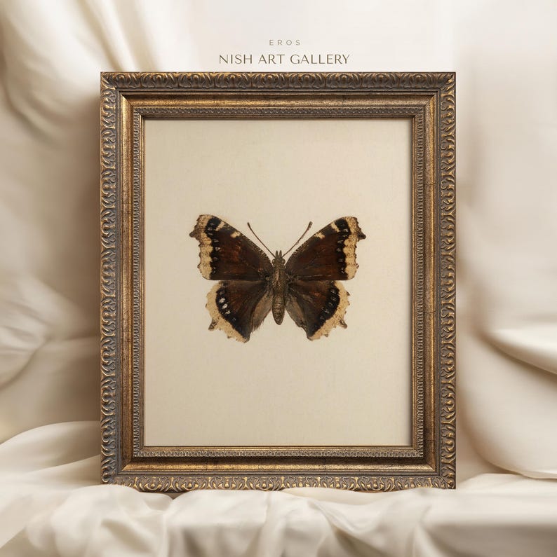 May include: A framed print of a brown and white butterfly with a gold frame. The print is titled "EROS" and "NISH ART GALLERY".