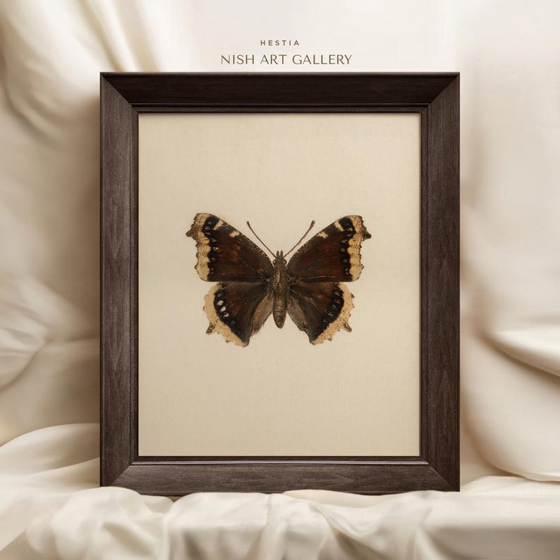 May include: A framed print of a brown and cream butterfly with a black border. The print is titled "Hestia" and is from the "Nish Art Gallery".