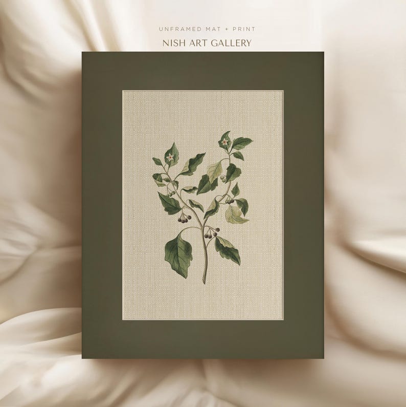 Framed Botanical Art Print: Vintage Flower Wall Decor #481 - Etsy