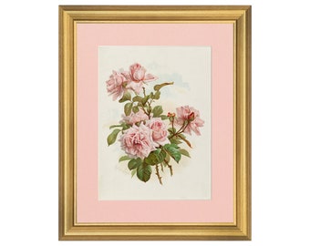 Vintage ingelijste bloemenprint | Roze rozen schilderij afdrukken | Antieke bloem wanddecoratie | Cottage woondecoratie | Lente kunst aan de muur