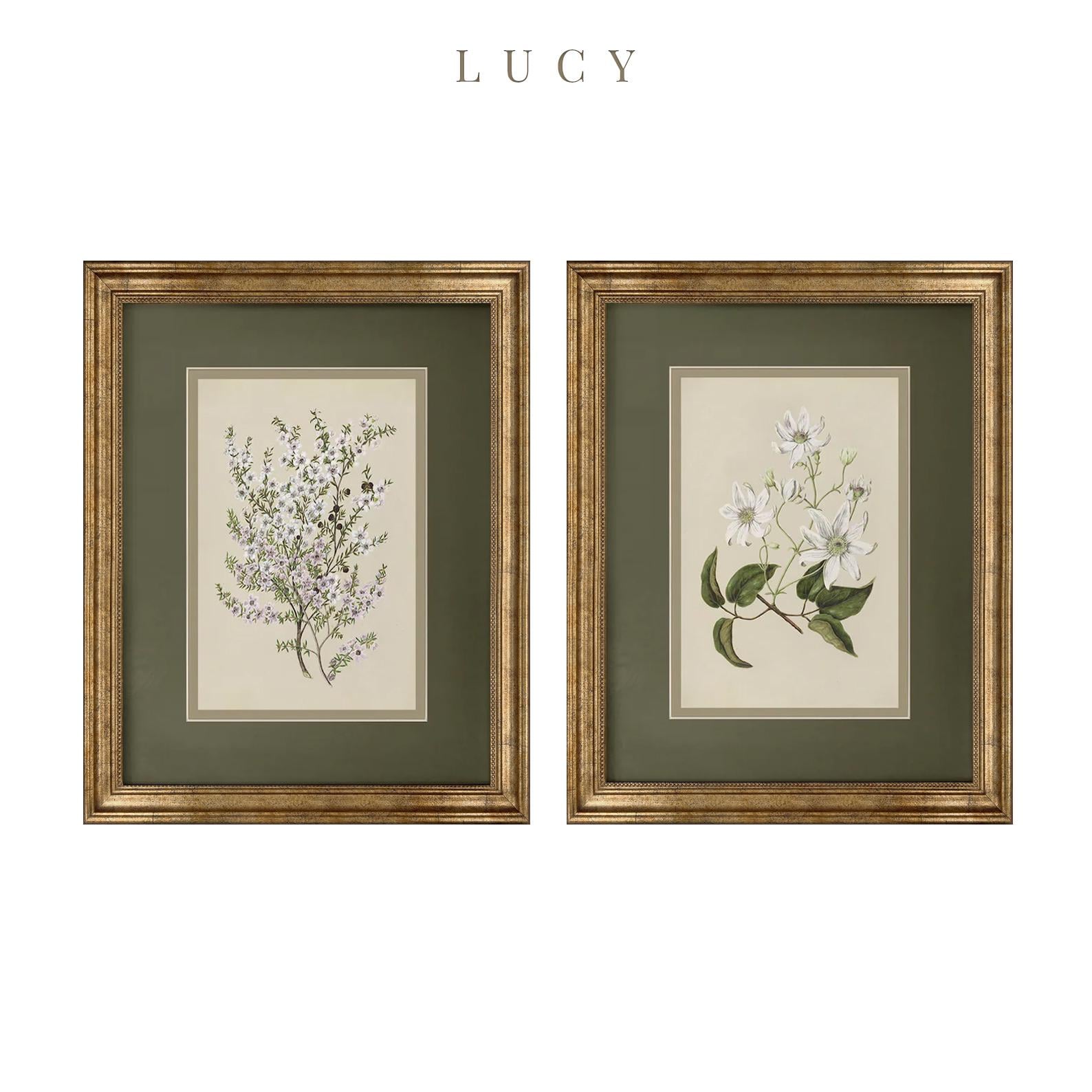 Framed Botanical Art Print Set: Gold Foiled Frame, Floral Wall