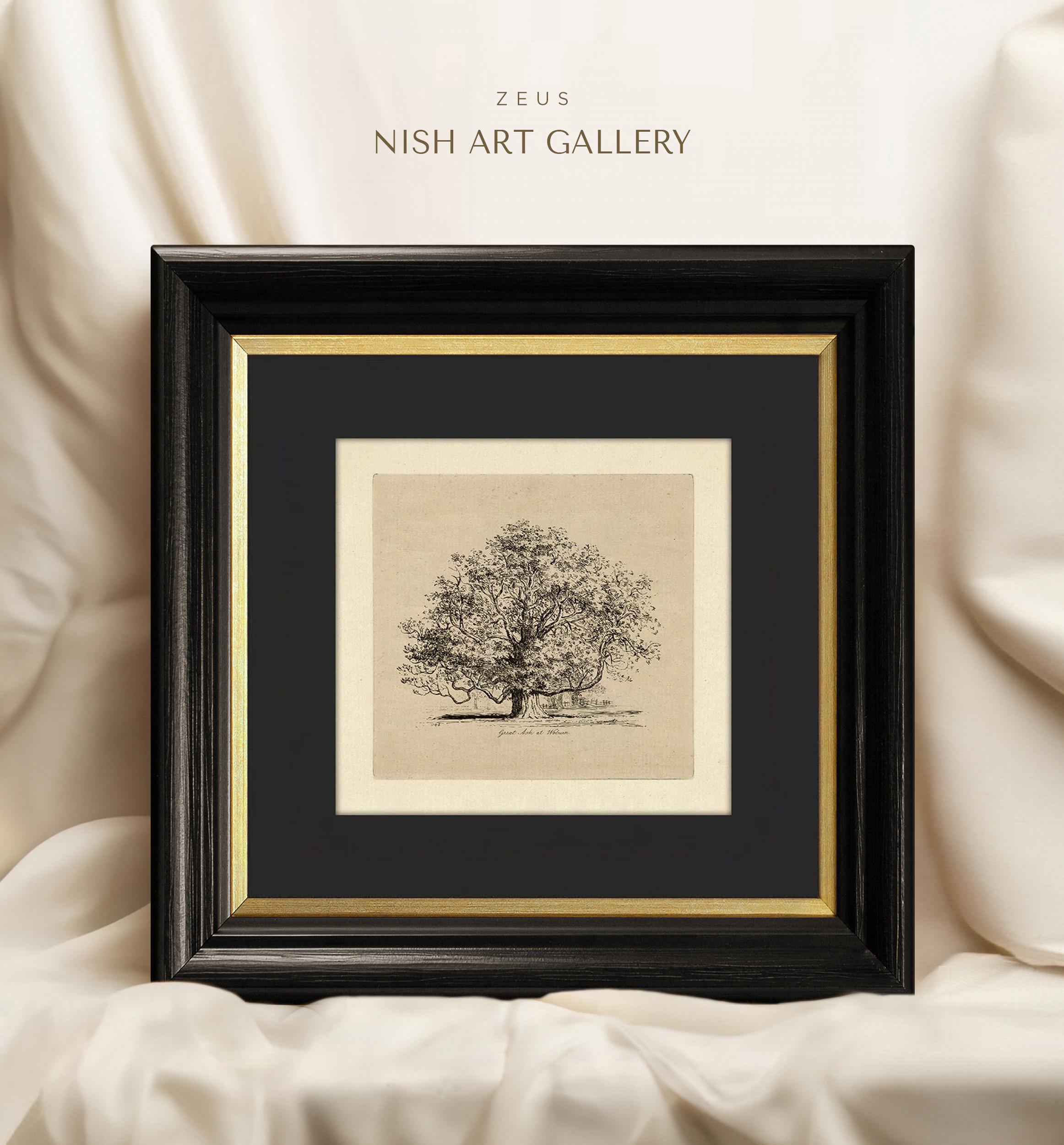 Tree Sketch Art Print: Gold Frame, Black Mat, Vintage Forest