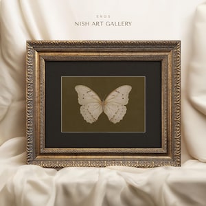 Framed Butterfly Art, Butterfly Print, Framed Wall Art, Black Matted, Home Decor, Dark Moody Wall Decor, Animal Wall Art #476