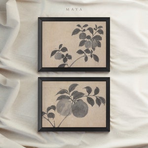 Op de afbeelding: Twee zwart ingelijste prints van een traditionele Japanse inkttekening van een tak van een boom met fruit. De prints zijn op een witte stoffen achtergrond.