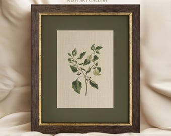 Framed Botanical Art Print: Vintage Flower Wall Decor #481
