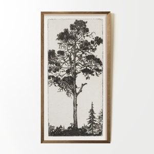 May include: A framed black and white print of a tall pine tree with a smaller tree in the background