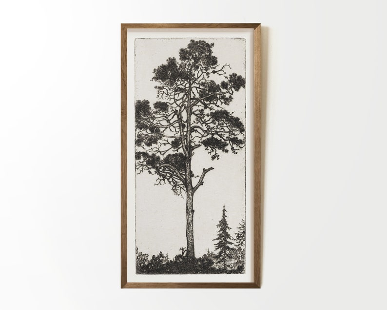 May include: A framed black and white print of a tall pine tree with a smaller tree in the background