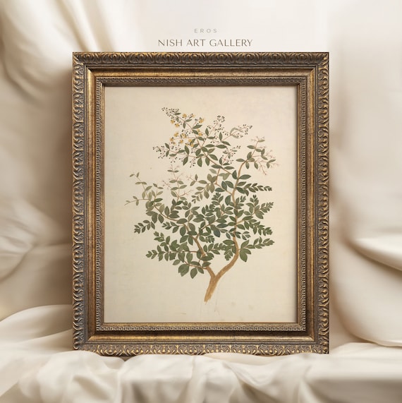 額装された植物画：ヴィンテージ風の農家風キッチン装飾、装飾的な